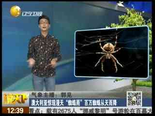 CC直播小蜘蛛冠军皮肤上线 少年意气所向披靡
